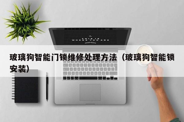 玻璃狗智能门锁维修处理方法（玻璃狗智能锁安装）