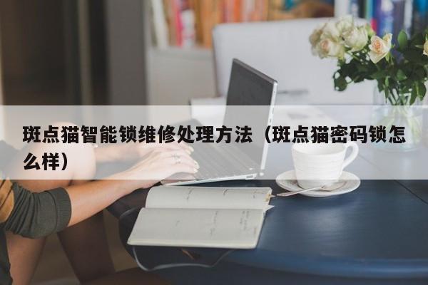 斑点猫智能锁维修处理方法（斑点猫密码锁怎么样）