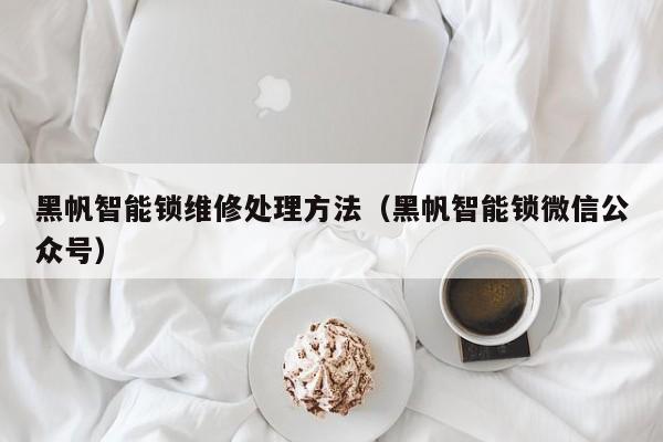黑帆智能锁维修处理方法（黑帆智能锁微信公众号）