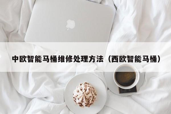 中欧智能马桶维修处理方法（西欧智能马桶）